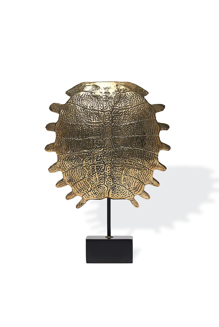 Bronze Turtle Shell