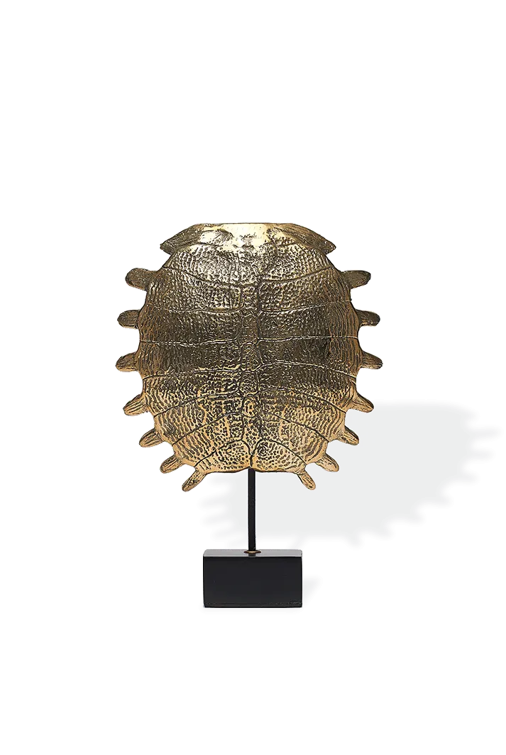 Bronze Turtle Shell