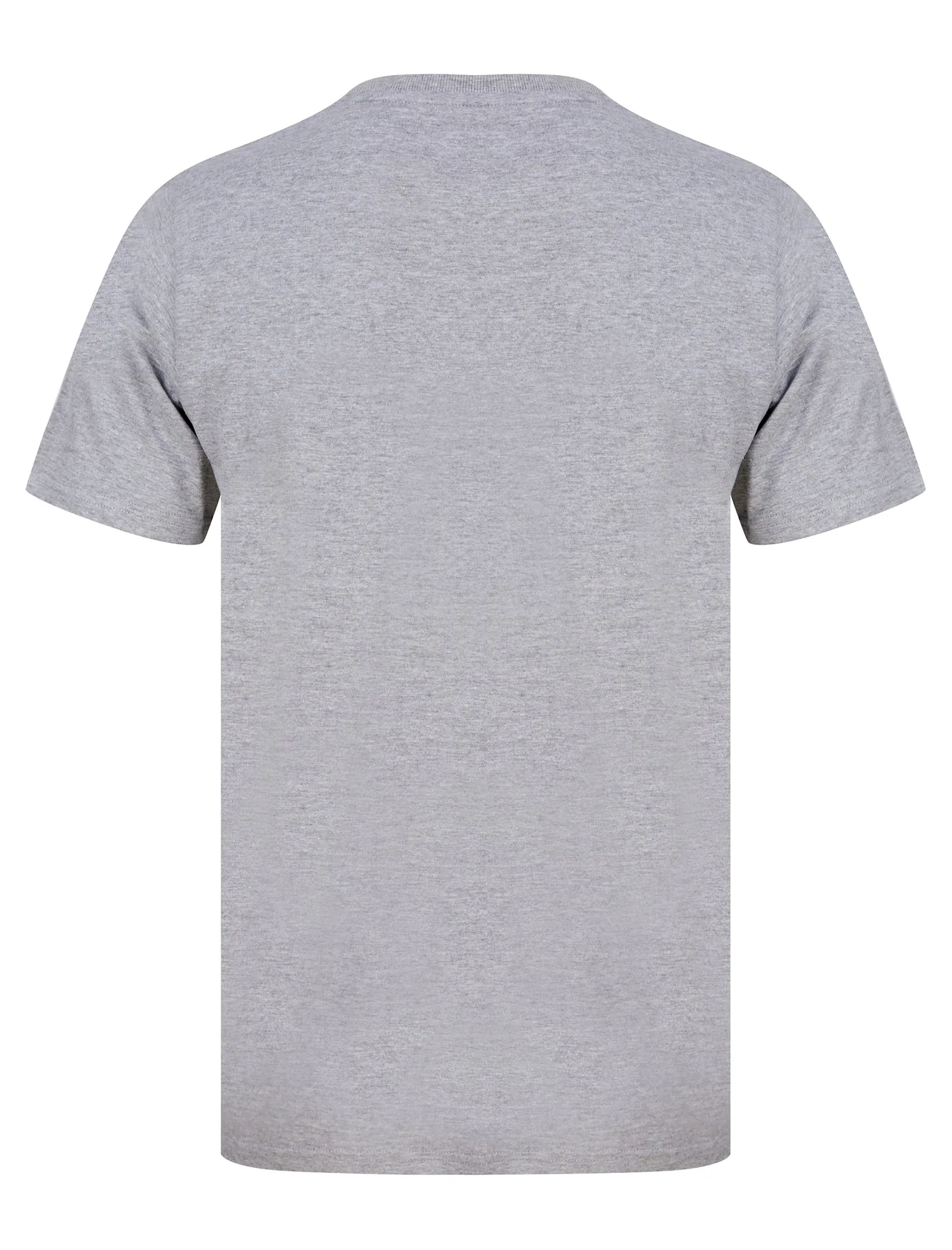 Michel Motif Cotton Jersey T-Shirt in Light Grey Marl - Tokyo Laundry