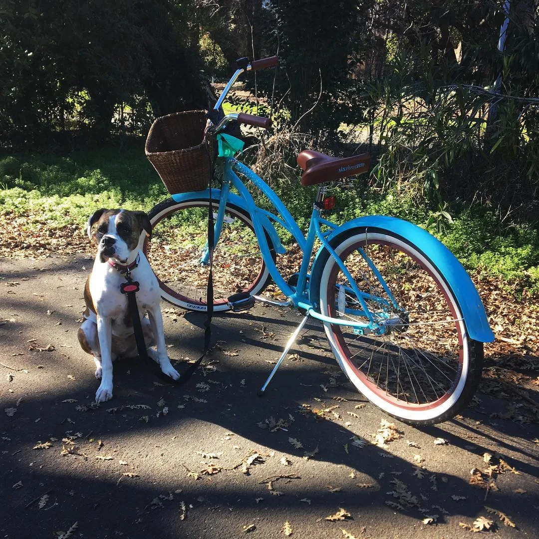 sixthreezero BE Women's Single Speed Beach Cruiser Bicycle