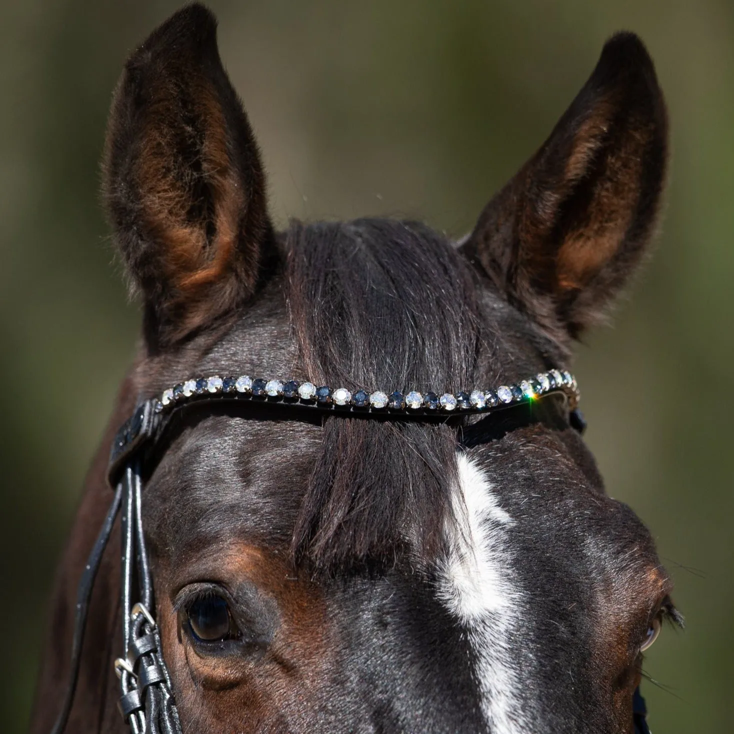 Sophie - Black Patent Leather Snaffle Conical Bridle