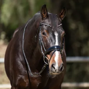 Sophie - Black Patent Leather Snaffle Conical Bridle